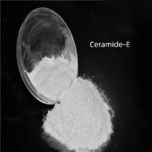 Ceramide-E 100403-19-8 appearance